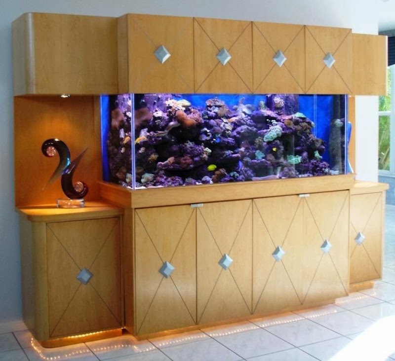 Jawz Aquarium photo 5