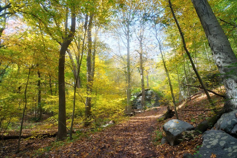 Saxon Woods Park - Parking photo 2