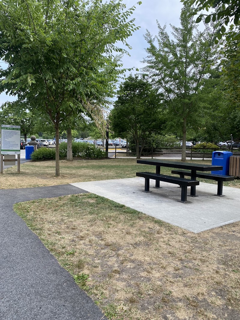 Saxon Woods Park Playground photo 2