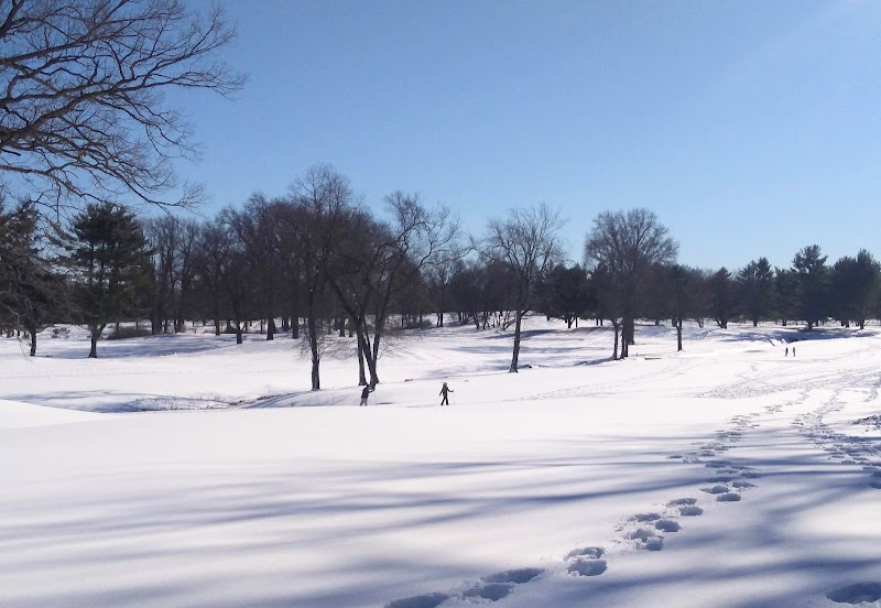 Saxon Woods Driving Range photo 5