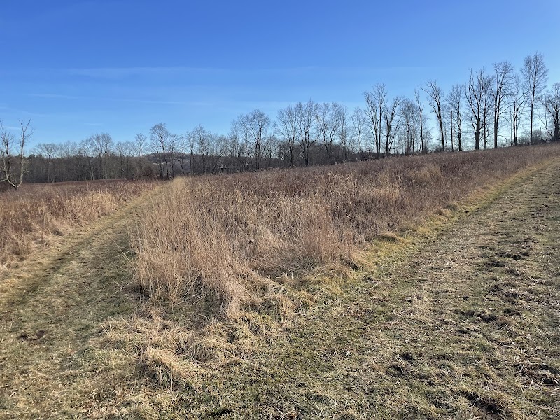 Baxter Preserve- The Racetrack photo 3