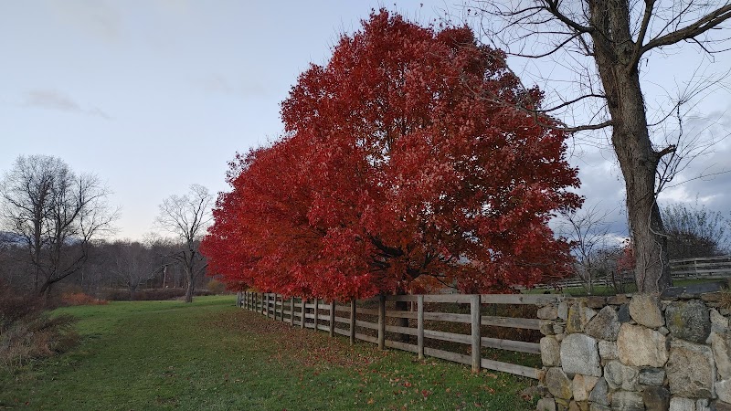 Baxter Preserve- The Racetrack photo 5