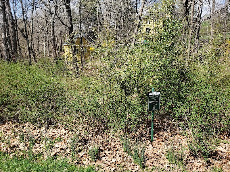Hayfield-on-Keeler photo 3