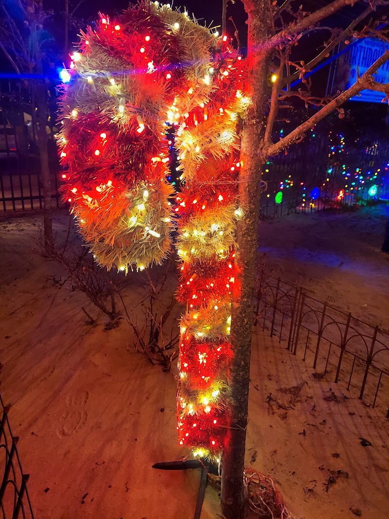 Bayville Winter Wonderland photo 2