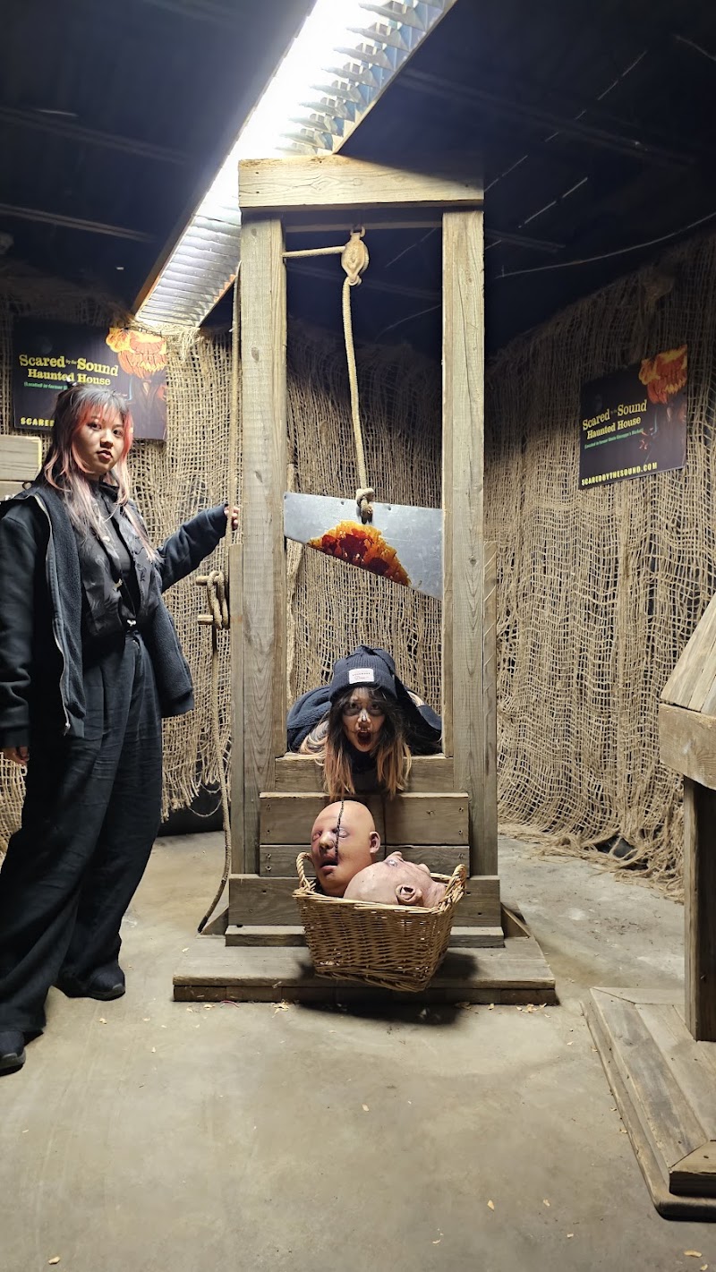 Scared by the Sound Haunted House photo 4