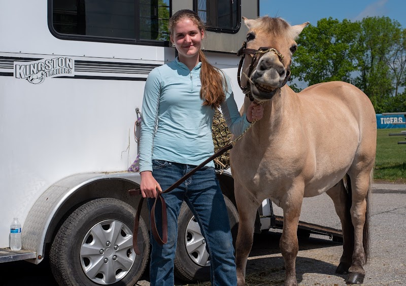 Access Equestrian photo 3