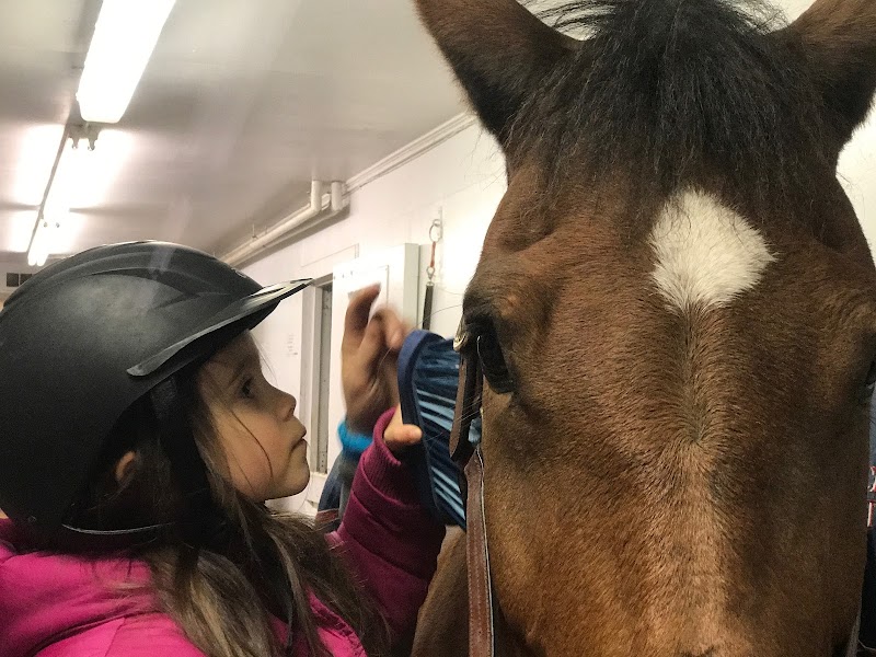 Access Equestrian photo 4