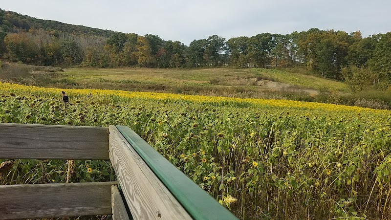 Echo Farm photo 4