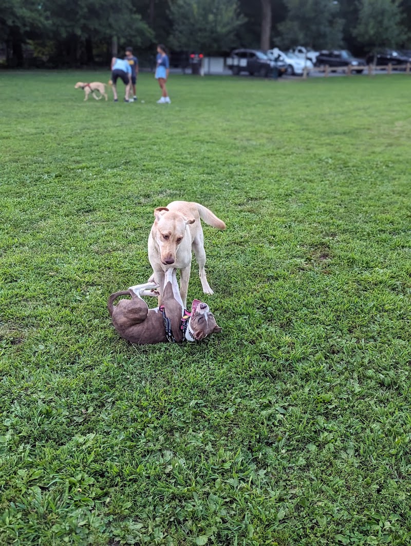 Scout Field photo 2