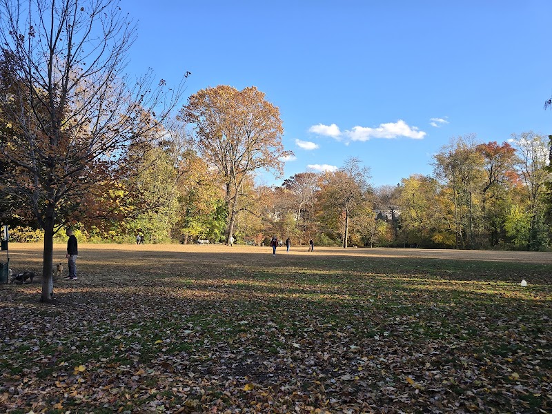 Scout Field photo 3
