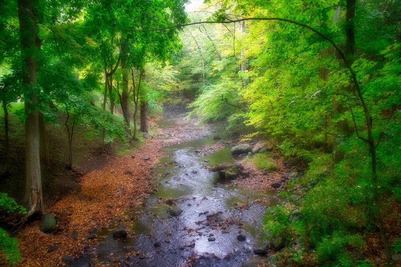 Beaver Dam Park photo 3