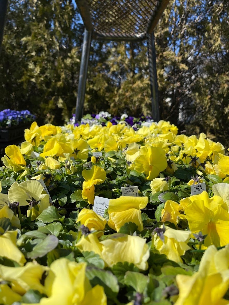 Weaver Gardens photo 5