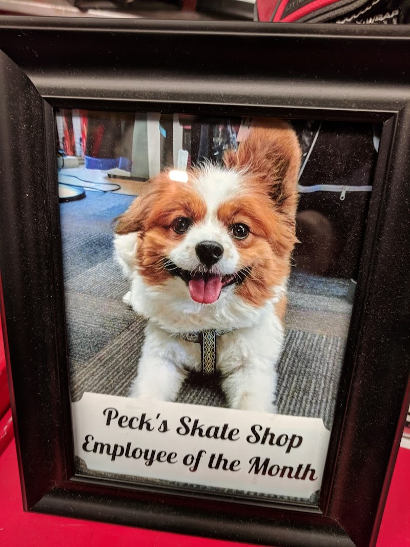 Peck's Skate Shop photo 2