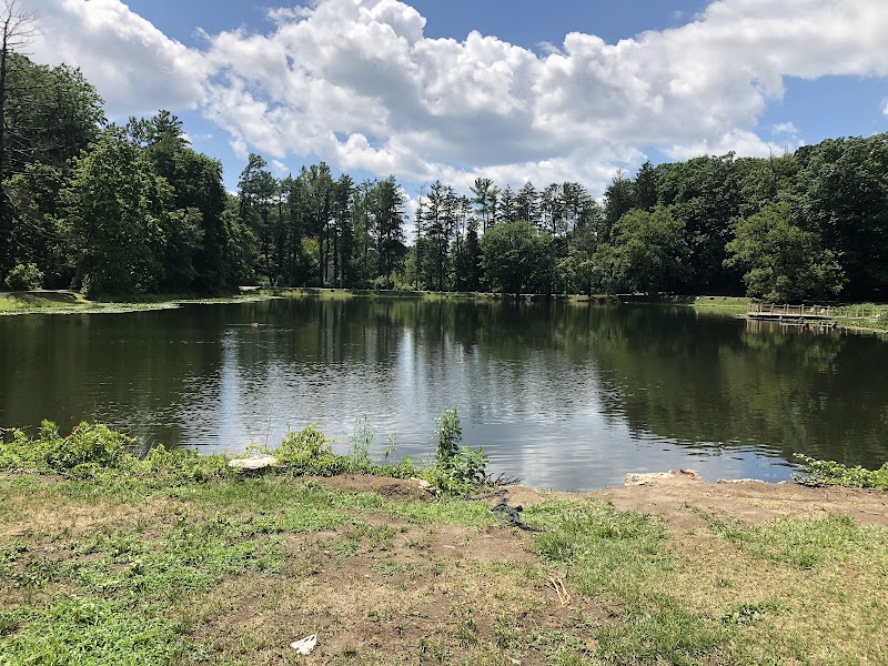 Cedar Lane Town Park photo 2
