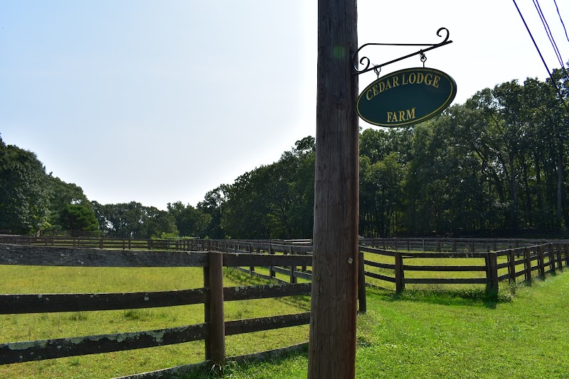 Cedar Lodge Farm Inc photo 2