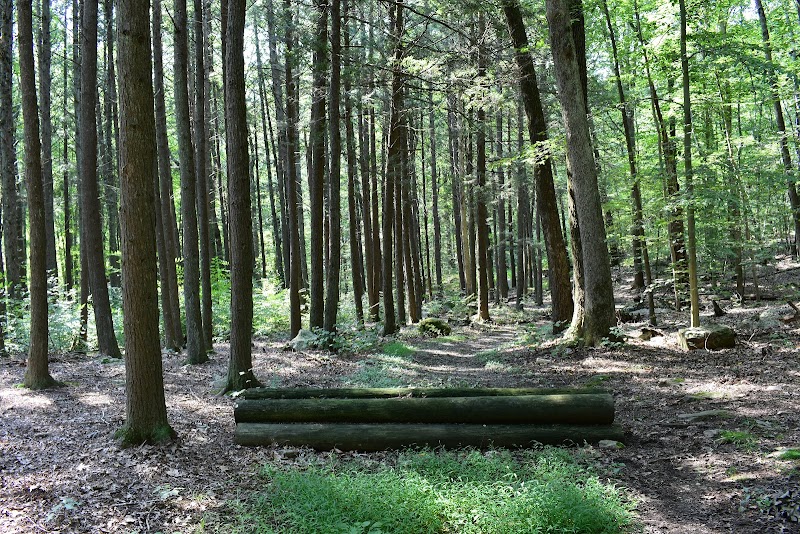 Cedar Lodge Farm Inc photo 3