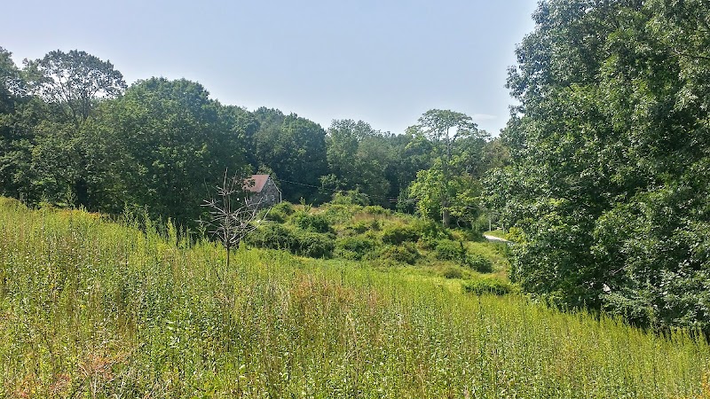 Bedford Audubon Society photo 2