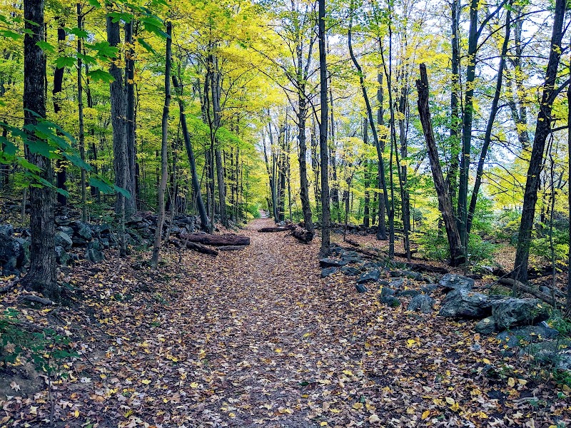 Gedney Park photo 5