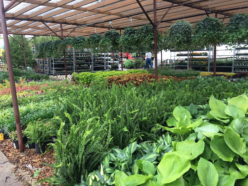 Gedney Farms Nursery photo 4