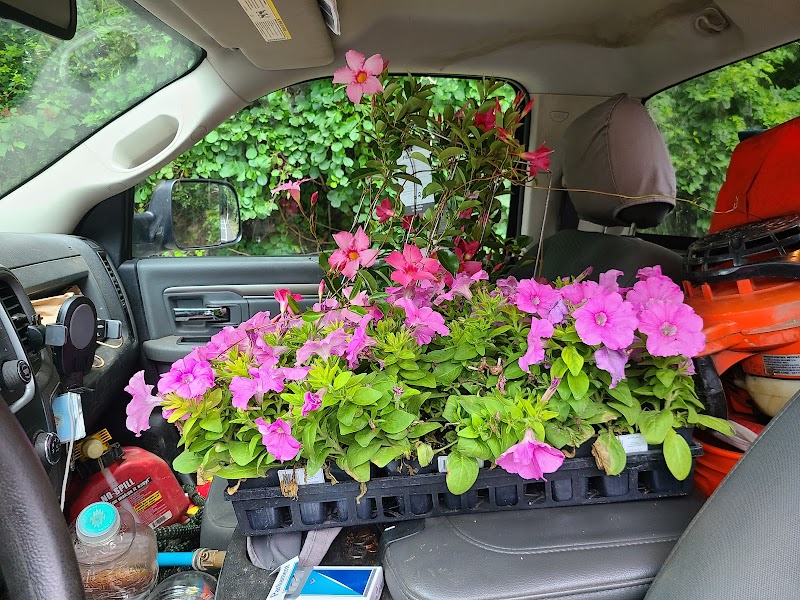 Gedney Farms Nursery photo 5