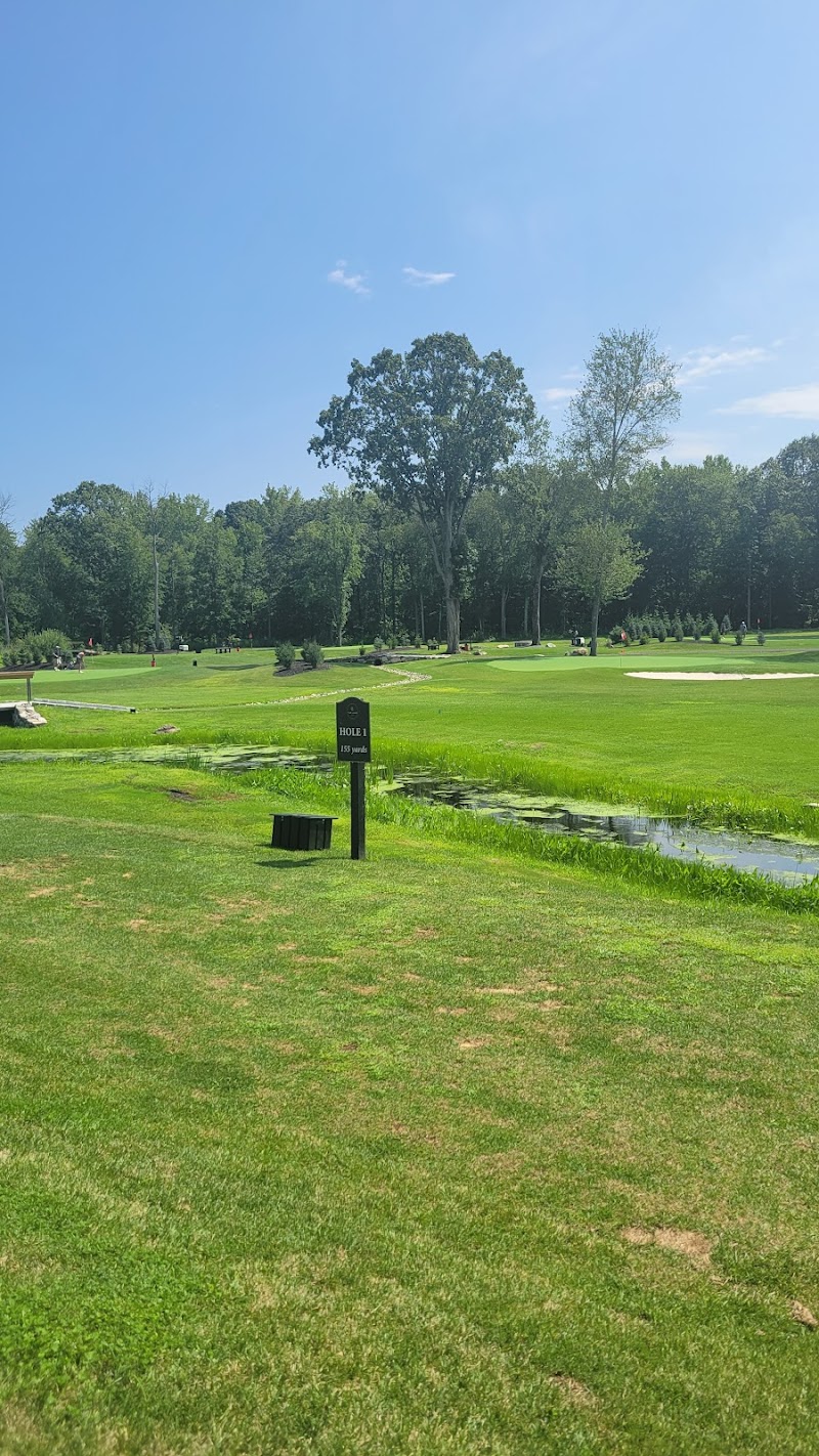 Tee Bar & Grille photo 4