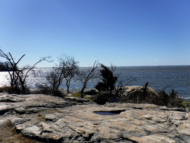 Weed Beach photo 5