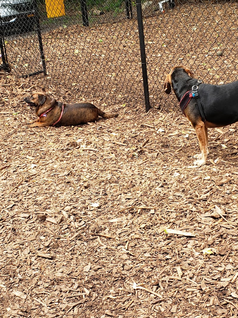 Peekskill Dog Park photo 2