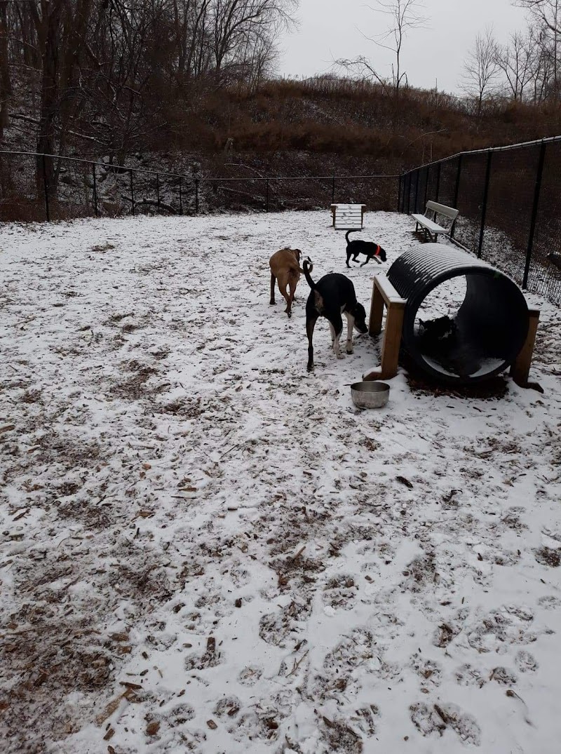 Peekskill Dog Park photo 3