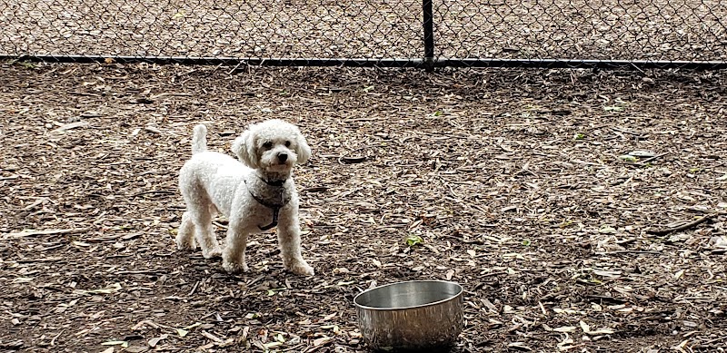 Peekskill Dog Park photo 4