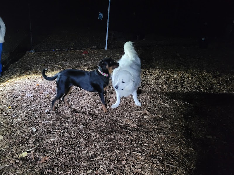 Peekskill Dog Park photo 5