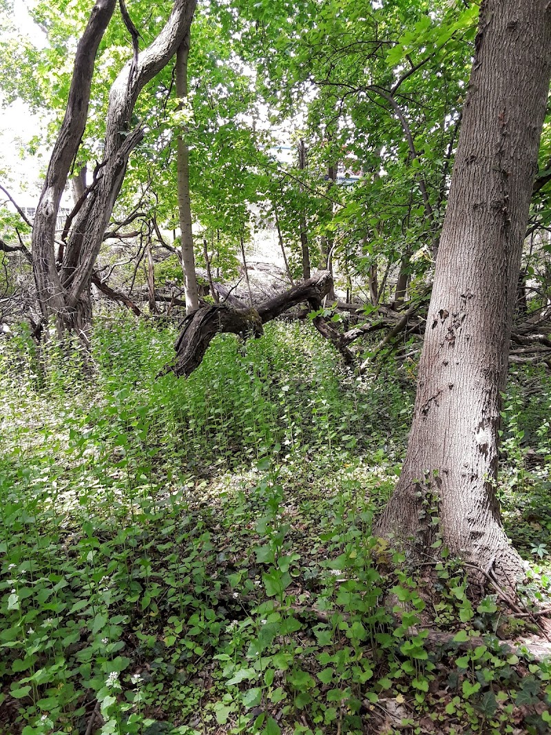 Leewood Park photo 3
