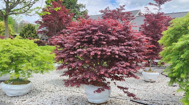 Select Horticulture, Inc. photo 3