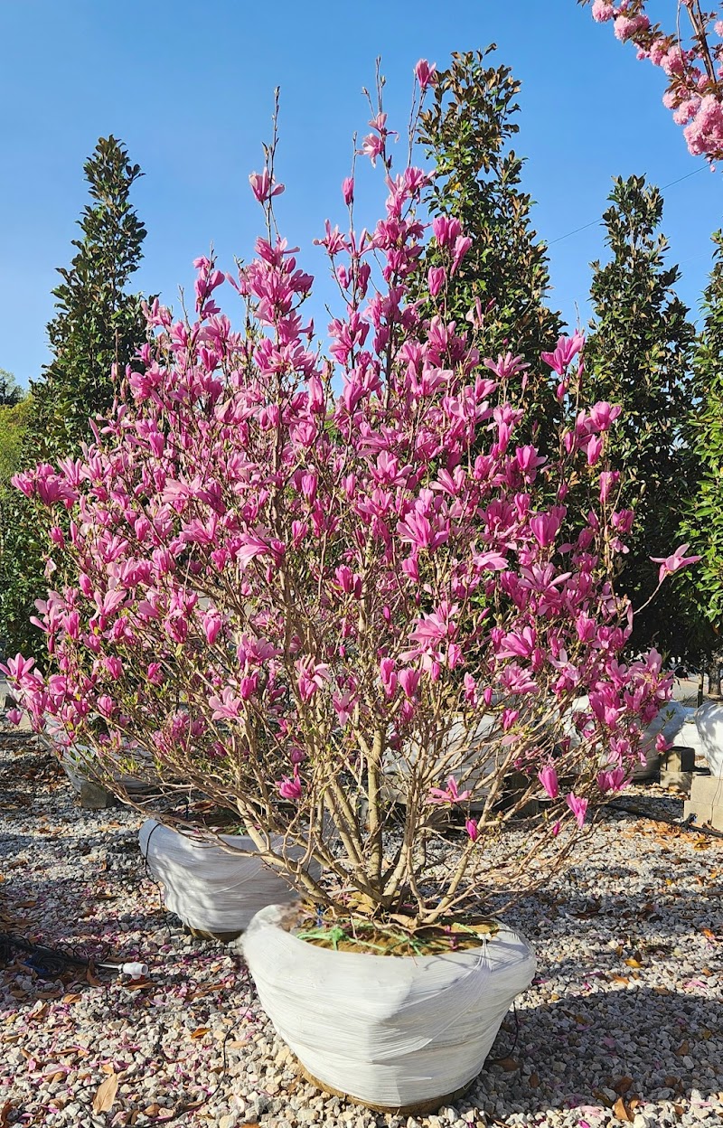 Select Horticulture, Inc. photo 5