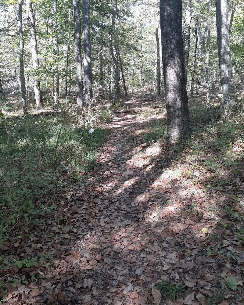 Helen Altschul Preserve photo 2