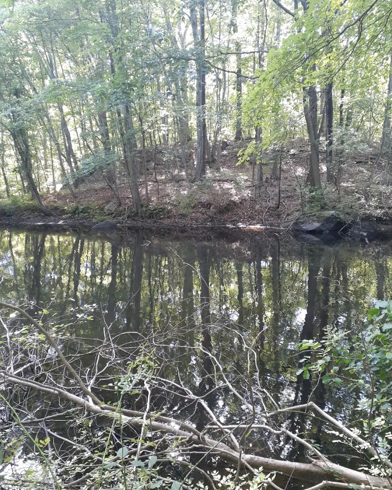 Helen Altschul Preserve photo 4