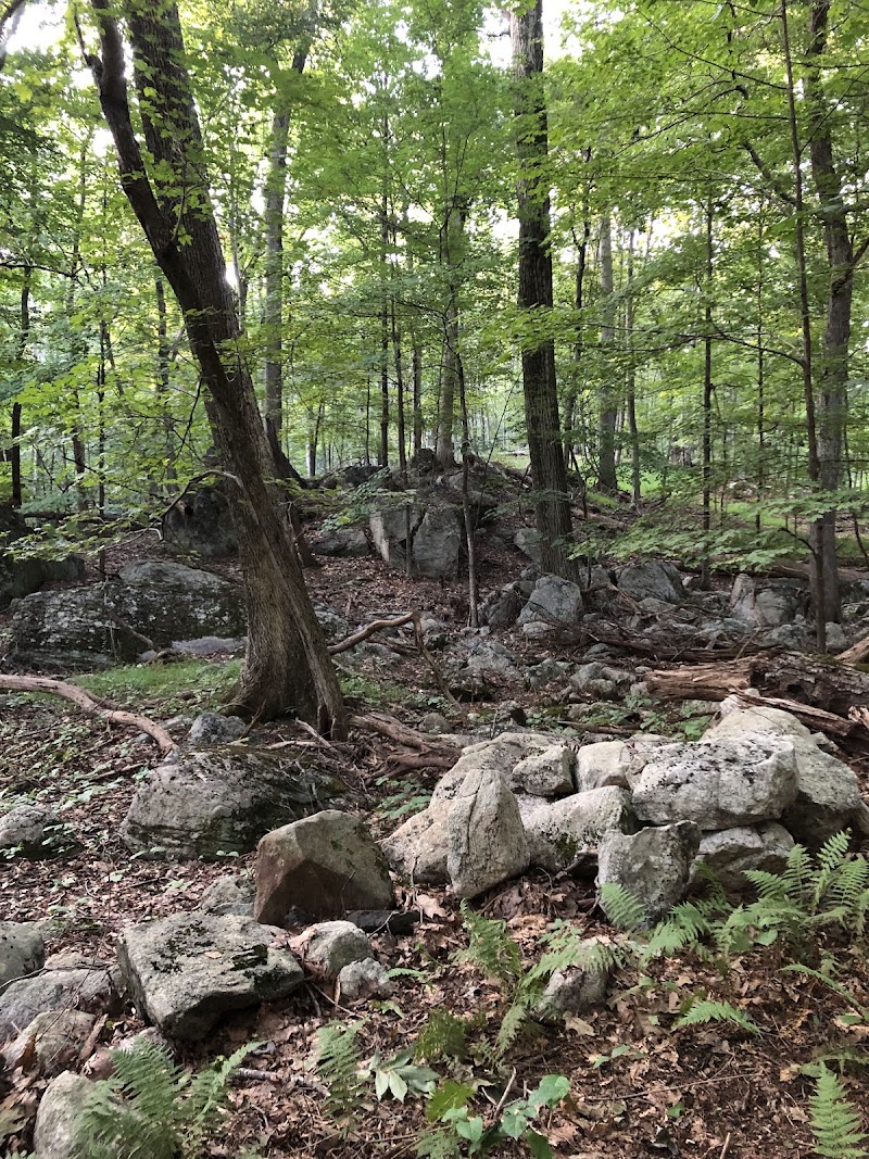 Helen Altschul Preserve photo 5