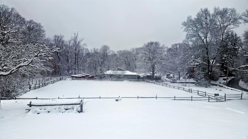Kelsey Farm photo 2