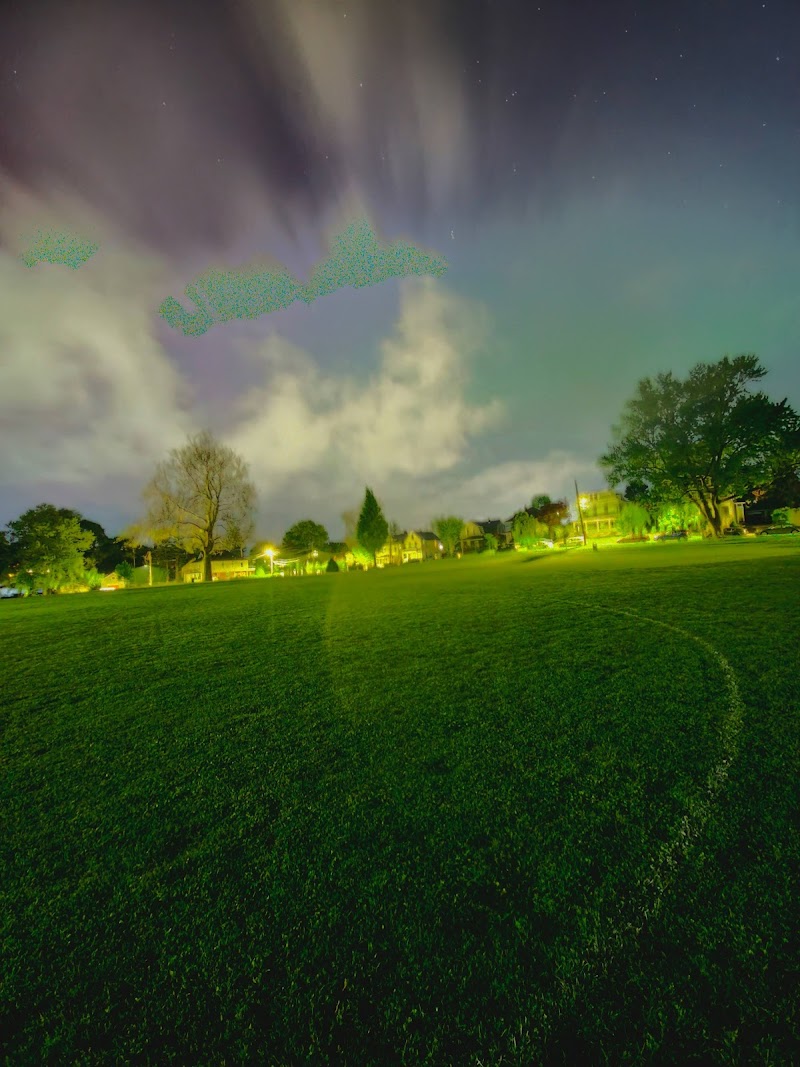 Nelson Park photo 4