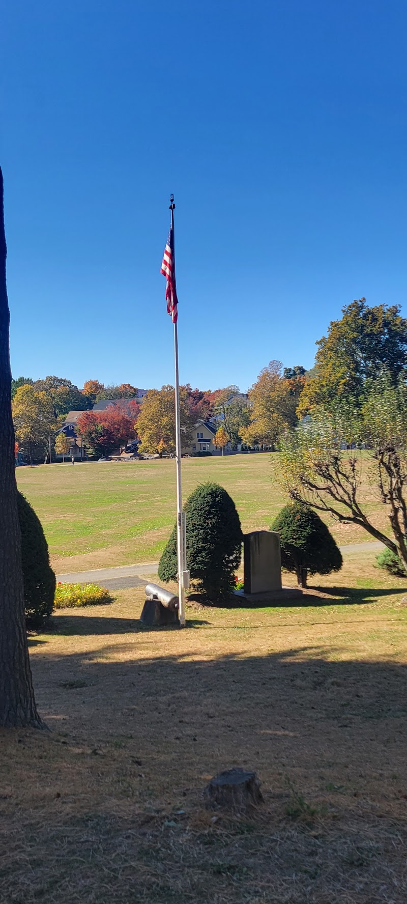 Nelson Park photo 5