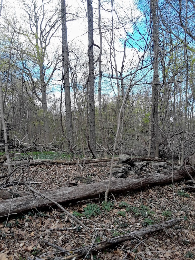 Welty Park photo 3