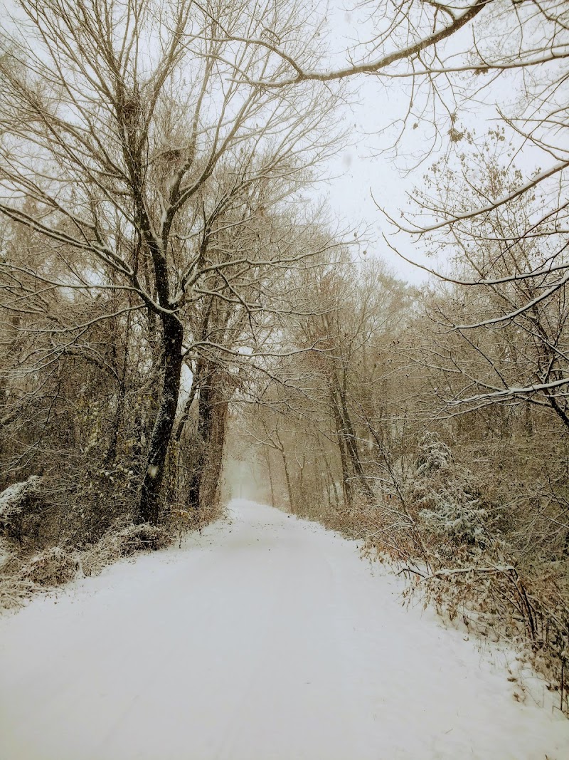 Welty Park photo 4