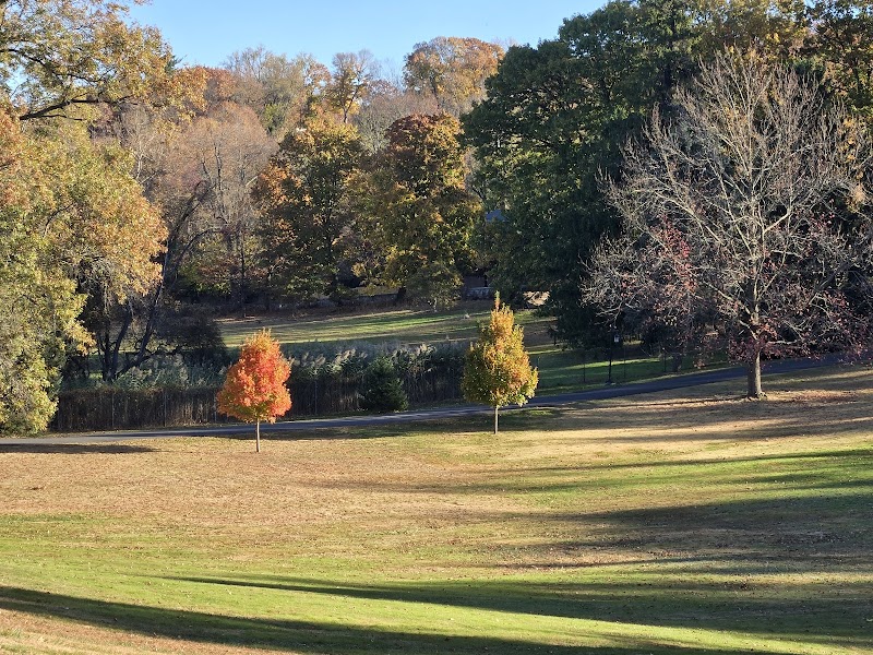 Belvedere Estate photo 4