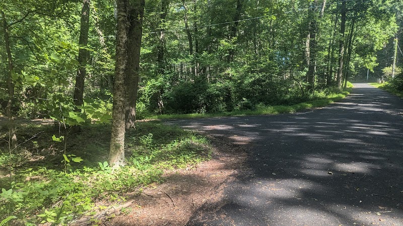 Hemlock Hills Parking Bear Mountain Rd photo 3