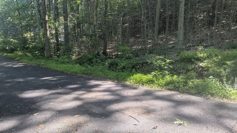 Hemlock Hills Parking Bear Mountain Rd photo 5