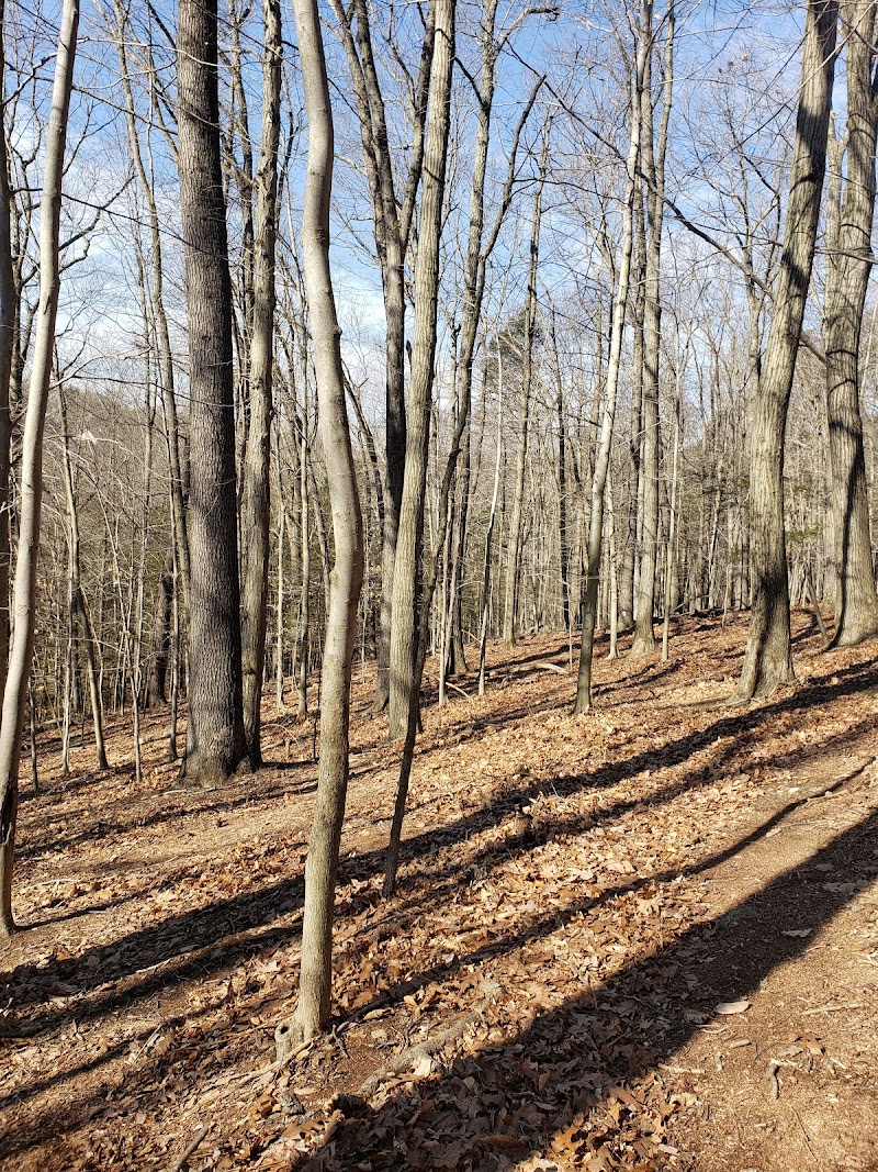 Hemlock Brook Preserve photo 4