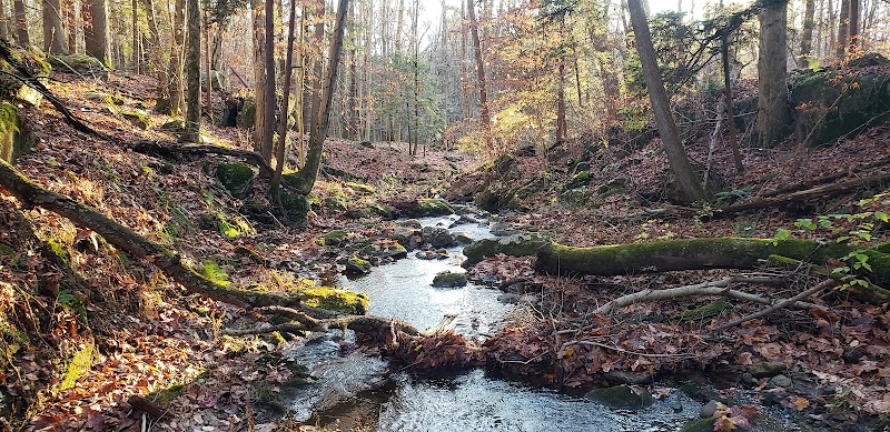 Hemlock Brook Preserve photo 5