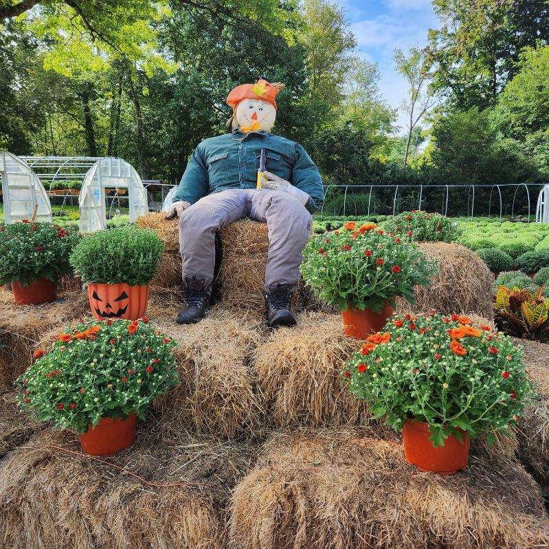Benedict Nursery photo 3