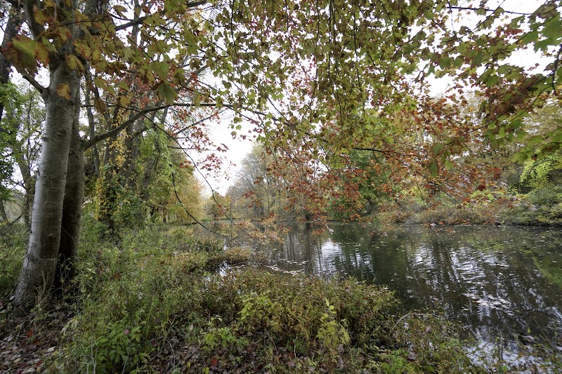Peninsula Wetlands photo 5