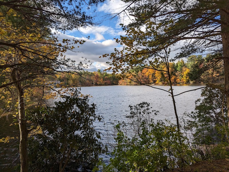 Henry Morgenthau Preserve photo 2