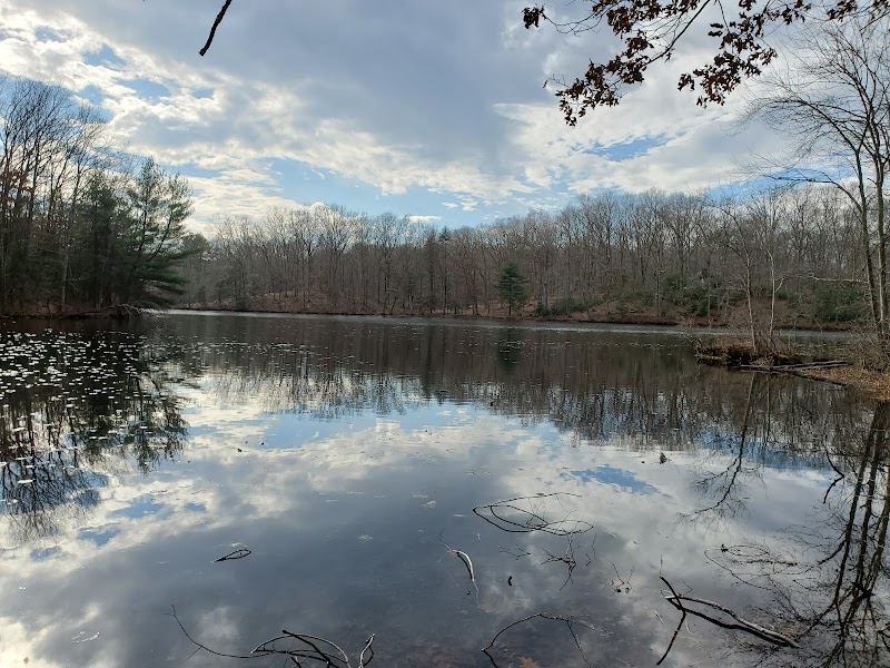 Henry Morgenthau Preserve photo 3
